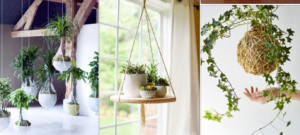 Kokedama DIY zelf maken plant aan plafond muur